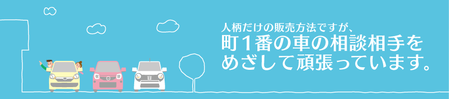 完璧とは言い切れませんが、心からのカーサポートを提供します。