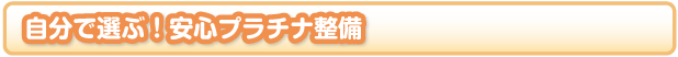 自分で選ぶ！安心プラチナ整備